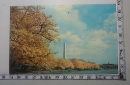 明信片 台北國父紀念館明信片 空白明信片 風景明信片 歷史價格詳細信息