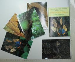 【台灣博土TWBT】201407-007 民國41年 韋廉英語補習學校出版《英語發音學》 歷史價格詳細信息