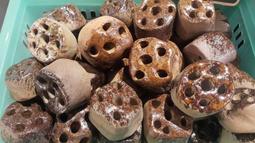 【星辰陶藝】(DC-A500LA)滾球流水消耗品~大水中燈沉水馬達，抽水馬達，風水滾球，聚寶盆 歷史價格詳細信息