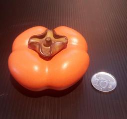 【星辰陶藝】(12V，3W) LED豆燈，水中燈燈泡，相容通用10W豆燈燈泡 歷史價格詳細信息