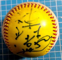 志汶燈飾廠臥室北歐50圓形led吸頂燈個性創意原木裝飾藝術燈飾 歷史價格詳細信息