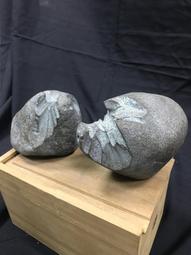 藝想起飛，菁采絕倫：教育部102年藝術與設計菁英海外培訓計畫 學習實錄 歷史價格詳細信息
