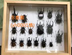 高級精緻指揮刀/高108公分寬33公分深21公分/劍長95公分 歷史價格詳細信息