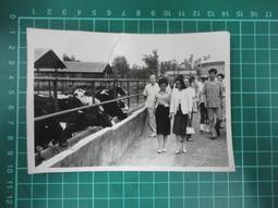 73年台灣省國術會中正杯紀念徽章 歷史價格詳細信息