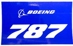 官方 波音 Boeing 747-8 飛機 Q版胸針 Pin 歷史價格詳細信息