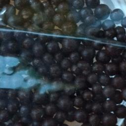 吉祥如意釋迦牟尼佛41色舍利堅固子佛腦佛骨佛血舍利如法裝藏後舍利塔招財納福寶塔佛塔嘎烏盒結緣青海西寧塔爾寺甘露丸小10顆 歷史價格詳細信息