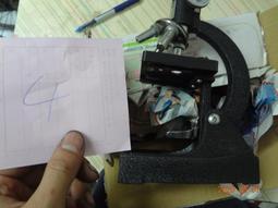 4（二手）甩手運動 歷史價格詳細信息