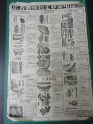 【台灣博土TWBT】202005-022 1959年 夏威夷觀光旅遊索引 (英文) 歷史價格詳細信息