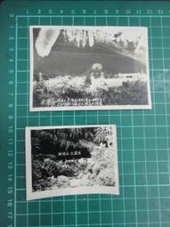 【台灣博土TWBT】202004-018 日治時期 タイヘイレコード(唱片) 三月新譜 附特選目錄 (破損 歷史價格詳細信息