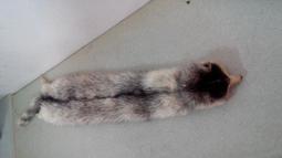 古早 早期 收藏  Mic 麥克風 歷史價格詳細信息