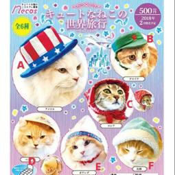 ????美也家????日本正版????可愛的兔兔懶熊系列✨懶熊✨懶妹✨小雞✨小棕熊 歷史價格詳細信息