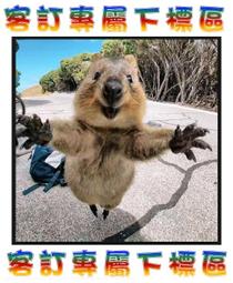 CD卡帶故障含遙控。 Panasonic SA-VK71D Home theater 5.1 DTS 主機加喇叭。不寄送 歷史價格詳細信息