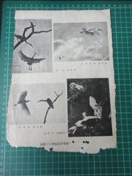 【台灣博土TWBT】202112-061 大學校長教授軍中訪問日程修正表 民國59年8月 歷史價格詳細信息