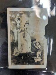 良友hzq-qa全溫振蕩培養搖床 恆溫振蕩搖床 全溫搖床振蕩器 歷史價格詳細信息