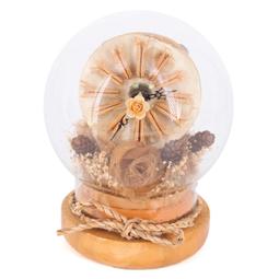 金卡價558 二手 CASIO卡西歐 簡約時尚腕錶(SHE-3059) 529900006320 03 歷史價格詳細信息