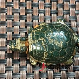 收藏老物件 古玉老玉古董玉器  紅山文化古代人物雕像10156 歷史價格詳細信息