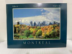 婁底新型汽油吹風機 風力強勁汽油吹風機 歷史價格詳細信息