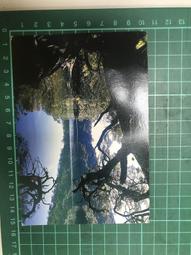 百景宴 福滿宴組 九九登高享雲霄 年菜9件組(約9-12人份) 歷史價格詳細信息