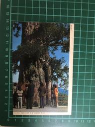 【台灣博土TWBT】202404-407 1968年 發現瘧疾一例可得獎金800元 年曆小卡 台灣省瘧疾研究所製 歷史價格詳細信息