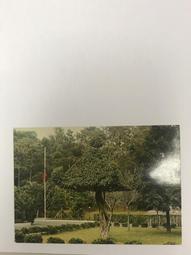 中華民國六十、六十四年台灣銀行壹圓各一個 歷史價格詳細信息