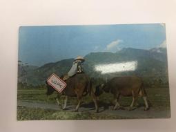 【台灣博土TWBT】民國60年代明信片5張 賀年卡1張 臺灣風景 共6張 歷史價格詳細信息