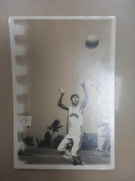 【台灣博土TWBT】202409-278 評中共文藝代表作 新世紀出版社發行 民國42年9月出版 書評 歷史價格詳細信息