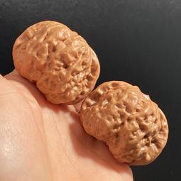 精品猴頭核桃直切老型桶盤玩手串雕刻鯊魚背文玩女繞指柔盤玩男士 歷史價格詳細信息