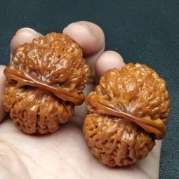 文玩核桃小尺寸獅子頭手把件精品收藏級級小手捻把玩包漿手串盤玩 歷史價格詳細信息