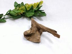 『佛來品』『頂級』『沉水』緬甸密支那沉香料 ARE0319 歷史價格詳細信息