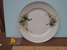 海芋瓷盤 早期台灣慶同製 海芋橢圓形瓷盤 腰子盤- 34*23.5*3.5公分 歷史價格詳細信息