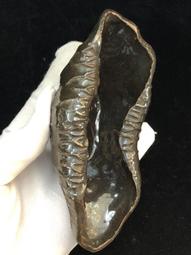 海堤茶葉水仙烏龍茶水仙濃香型紅罐裝武夷大紅袍正品經典中茶鐵罐 歷史價格詳細信息
