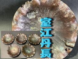 【佐渡初荷】長文堂(長谷川文雄) 作.鬼霰紋.姥口.斑銅蓋老鐵壺(929) 歷史價格詳細信息