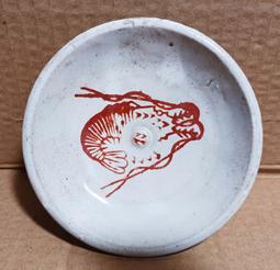 【彩蝦屋】藍眼大帆鬍子  異型魚 對魚 7-8公分 歷史價格詳細信息