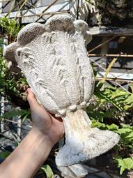 【沈家花生】花生250g(三星香蔥/麻辣-全素) 歷史價格詳細信息