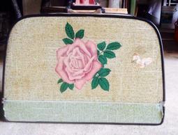 二手中古品功能正常少用:Kaiser Dia-Betrachter diascop 50N 2015 幻燈片底片看片機器 歷史價格詳細信息