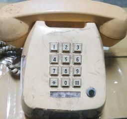 【TT】二手 FIERY DRAGON BEARD 運動鞋 DB-470J 男鞋 美國碼10 腳板長28cm 歷史價格詳細信息