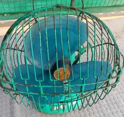 二手市面稀少復古金屬風扇(初步測試可以運轉可以擺頭歡迎自取重6KG左右 歷史價格詳細信息