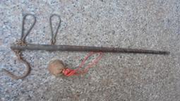 寒武紀至二疊紀_三葉蟲_Trilobita_模型_CollectA(非賣品) 歷史價格詳細信息