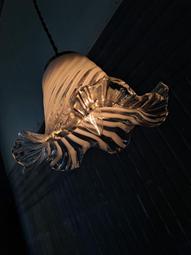 法國高速吹風機負離子護髮家用速幹大風力低噪電吹風筒 歷史價格詳細信息