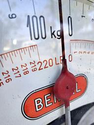 Bertel Thorvaldsen Copenhagen Museum Christ Hall Apostle Saint Paul Statue 8&quot;H 歷史價格詳細信息