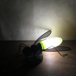 壁燈 早期 特殊件 完整漂亮 歷史價格詳細信息