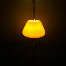 壁燈 早期 特殊件 完整漂亮 歷史價格詳細信息