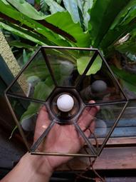 Under Object 大顆 迷幻 磨菇  . 徑 28/29 高約31 . 少見 大尺寸 完整品  . 極美 歷史價格詳細信息