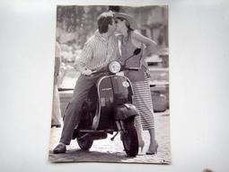 ~~早期 海芋 腰子盤 橢圓形盤  厚  大國瓷器 長約32.5cm(後)~~ 歷史價格詳細信息