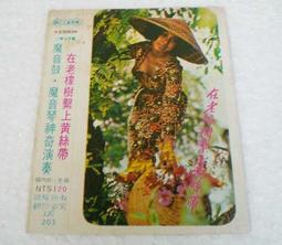 老樹上的小鳥[二手書_良好]2987 TAAZE讀冊生活 歷史價格詳細信息