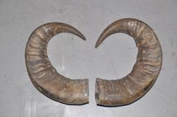 #31-22【元大家具行】全新青銅餐椅 加購 餐桌椅 會客椅 洽談椅 皮面餐椅 造型餐椅 餐椅 休閒椅 招待椅 歷史價格詳細信息