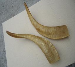 參考早期 全新 和田碧玉籽料 貔貅 手把件 招財 手工雕刻 歷史價格詳細信息