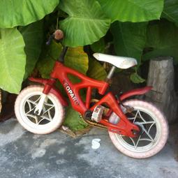 WH7918【四十八號老倉庫】二手 早期 台灣 手繪 椰子 大碗公 20.2cm 有瑕 1碗價 歷史價格詳細信息