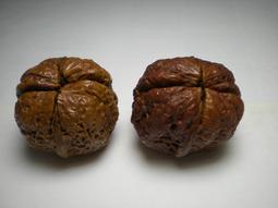 圓如玉文物------民初~創匯期和闐羊脂白玉童子持蓮大玉佩 歷史價格詳細信息