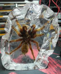 樹脂大型宇航員落地擺 輕奢太空人燈客廳軟裝飾品電視櫃喬遷禮品 SN1212 歷史價格詳細信息